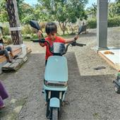 Tổ
