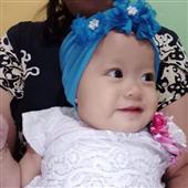 Dy