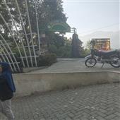 Tr