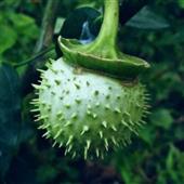 số