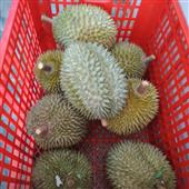 Đế