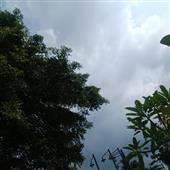 Kỳ
