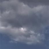 Gi