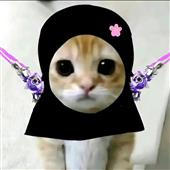 Má