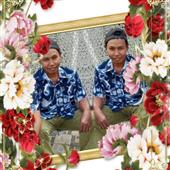 Vi