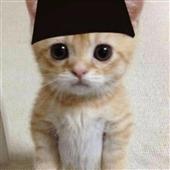 Sấ