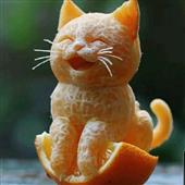 vậ