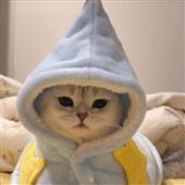 Cu