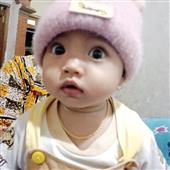 Cử
