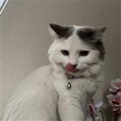 Tâ
