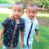 Dự