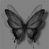 Tr