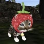 Đả