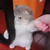 Ro