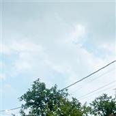 Hồ