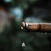 Xì